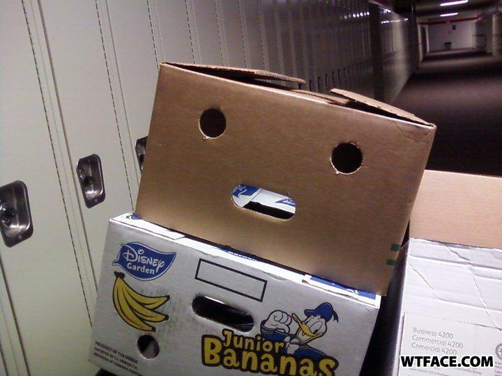 Boxface