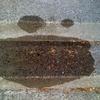 67545 - New Objects That Look Like Faces - 1
