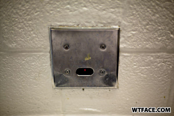 Face