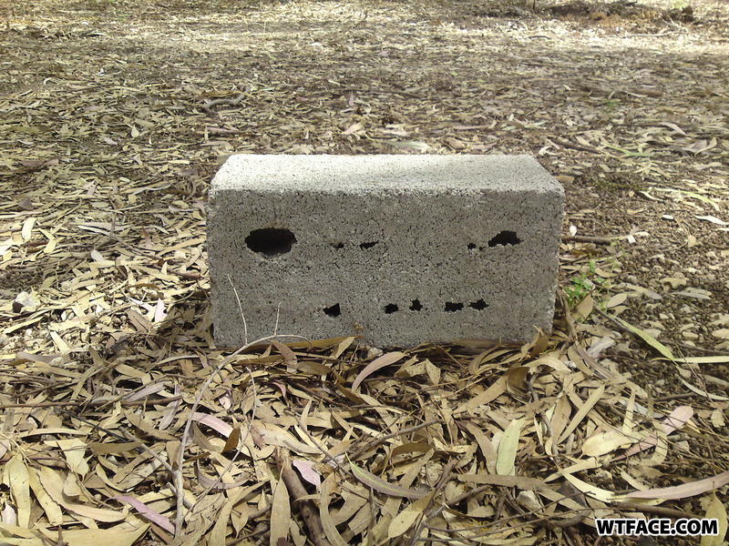 Wtface-com-b368cb