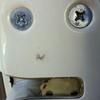 7996 - What The Face