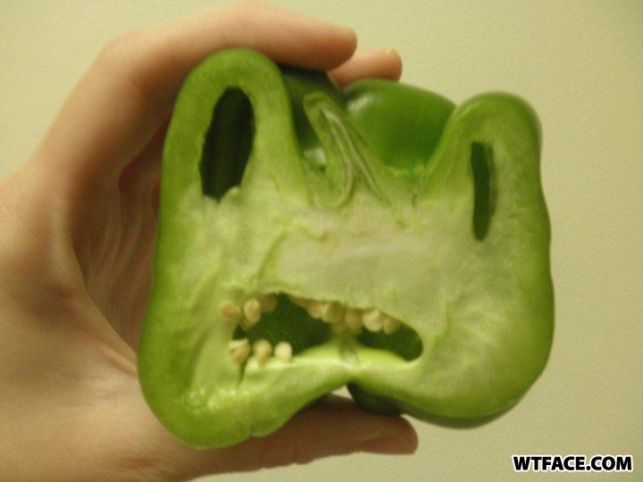 Wtface-com-8bd734