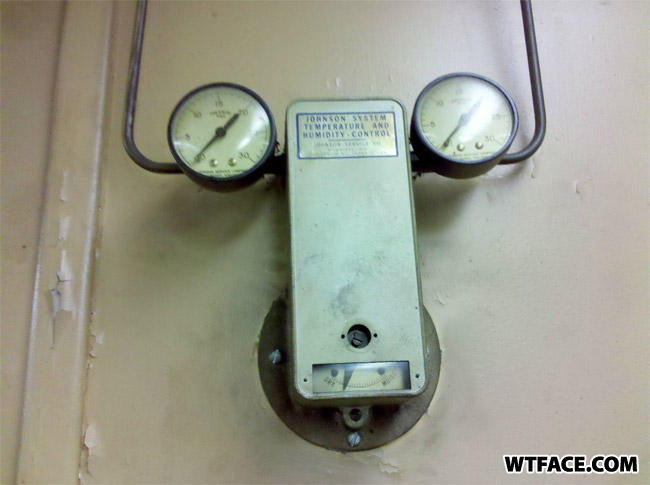 Wtface-com-f86670
