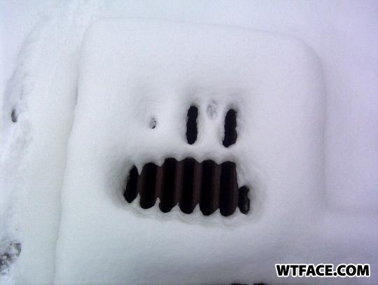 Wtface-com-451be7
