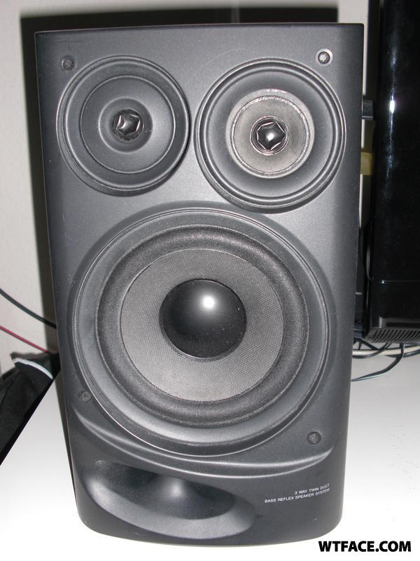 Cimg1174