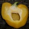 1784 - What The Face