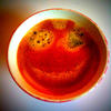 1766 - What The Face