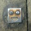1732 - What The Face