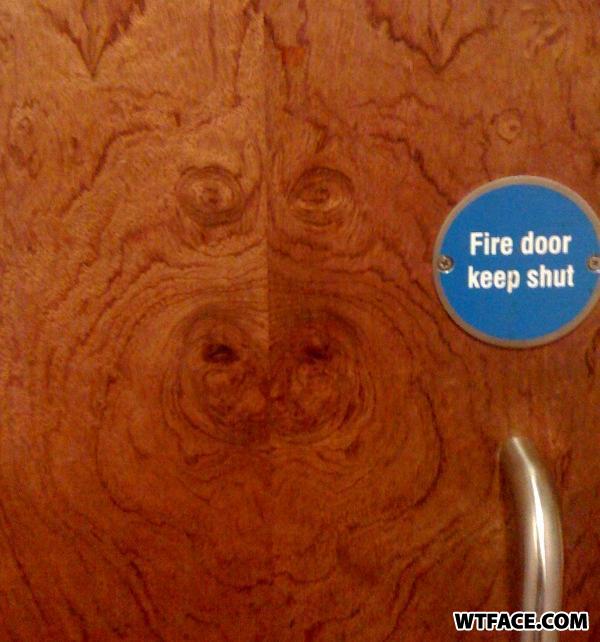 Pigdoor