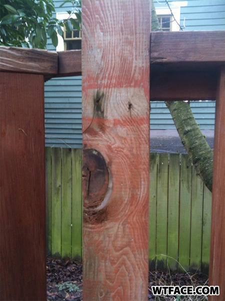Face