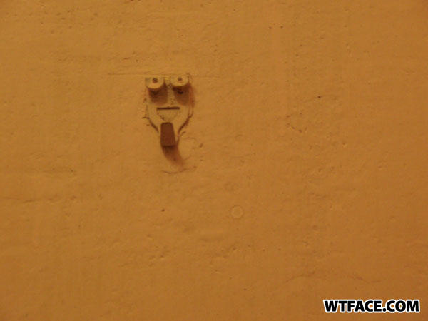 Wtface