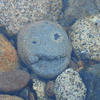1853 - What The Face