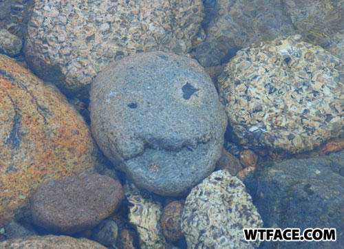 Pirate-rock