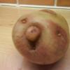 18827 - What The Face
