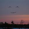 17666 - Unmoderated Objects That Look Like Faces - 2