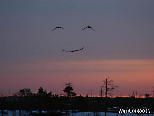 Image0212121
