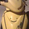64869 - What The Face
