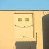 15665 - What The Face