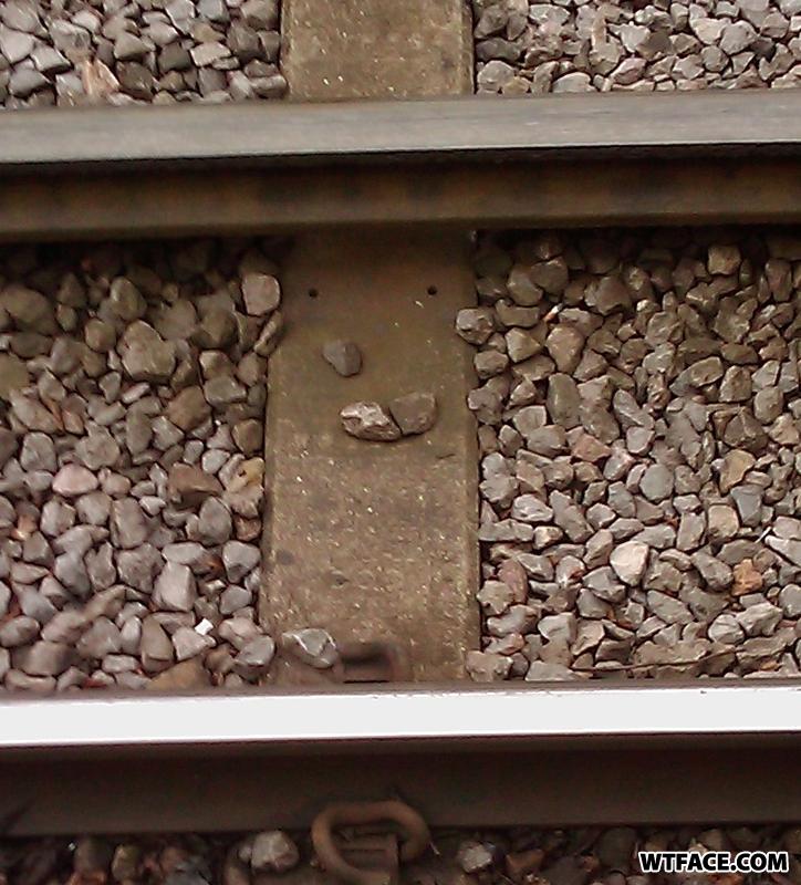 Imag0017face