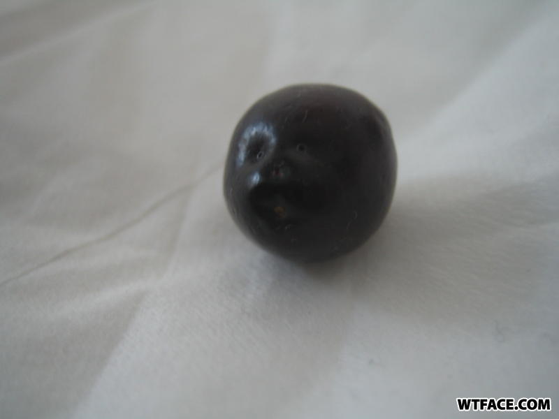 Cranberry_head