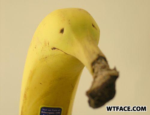Wtface
