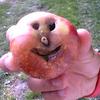 1696 - What The Face