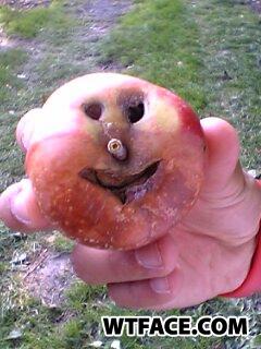 E_p_bune