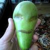 24730 - What The Face