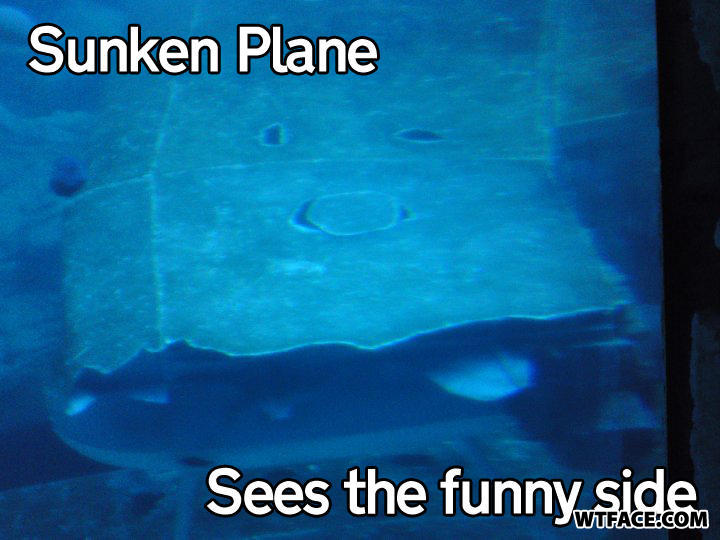 Happy_plane