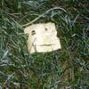 2408 - Unmoderated Objects That Look Like Faces - 1