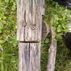 5039 - What The Face