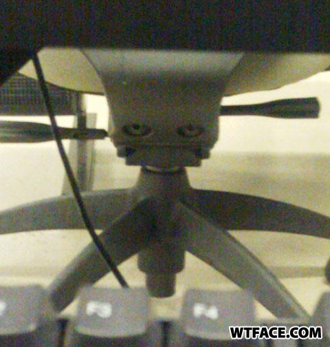 Face