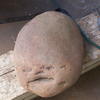 44617 - What The Face