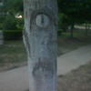 1843 - What The Face