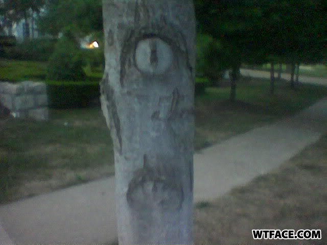 Treeface