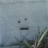 5772 - What The Face