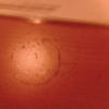 28303 - Unmoderated Objects That Look Like Faces - 1