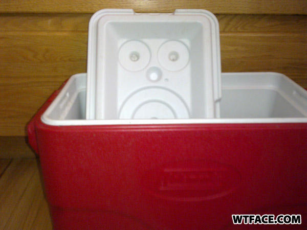 Face