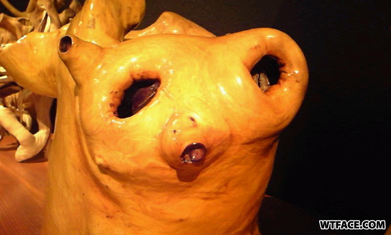 100803_1430_010001