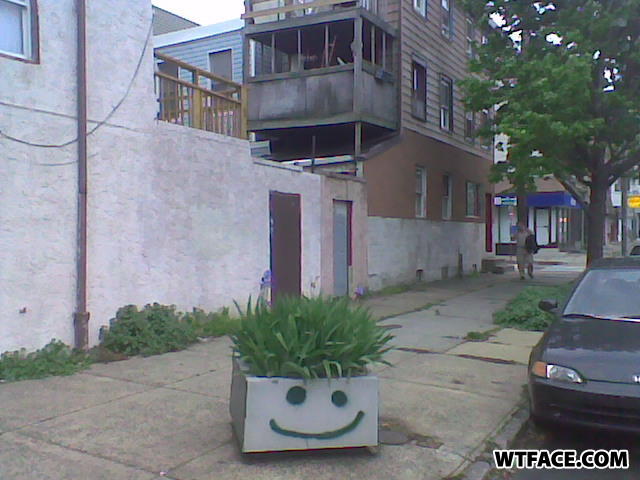 Image005