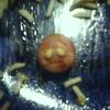 3388 - Unmoderated Objects That Look Like Faces - 20