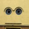 9311 - What The Face