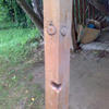 65981 - What The Face