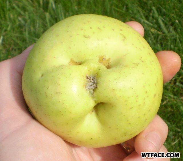 Apple_jack