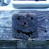 15890 - What The Face