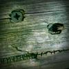 36404 - Unmoderated Objects That Look Like Faces - 6