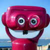 7979 - What The Face