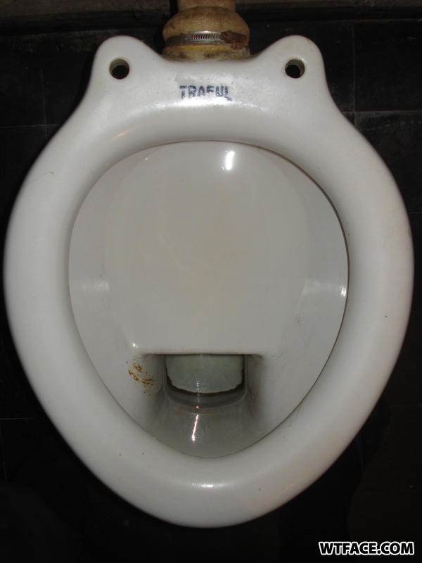 Traful_the_frog