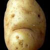 27910 - What The Face