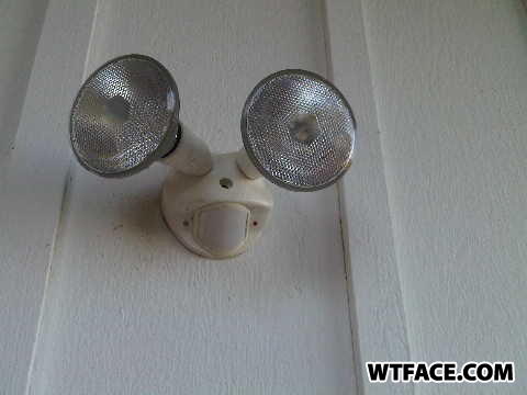 Robot_frog